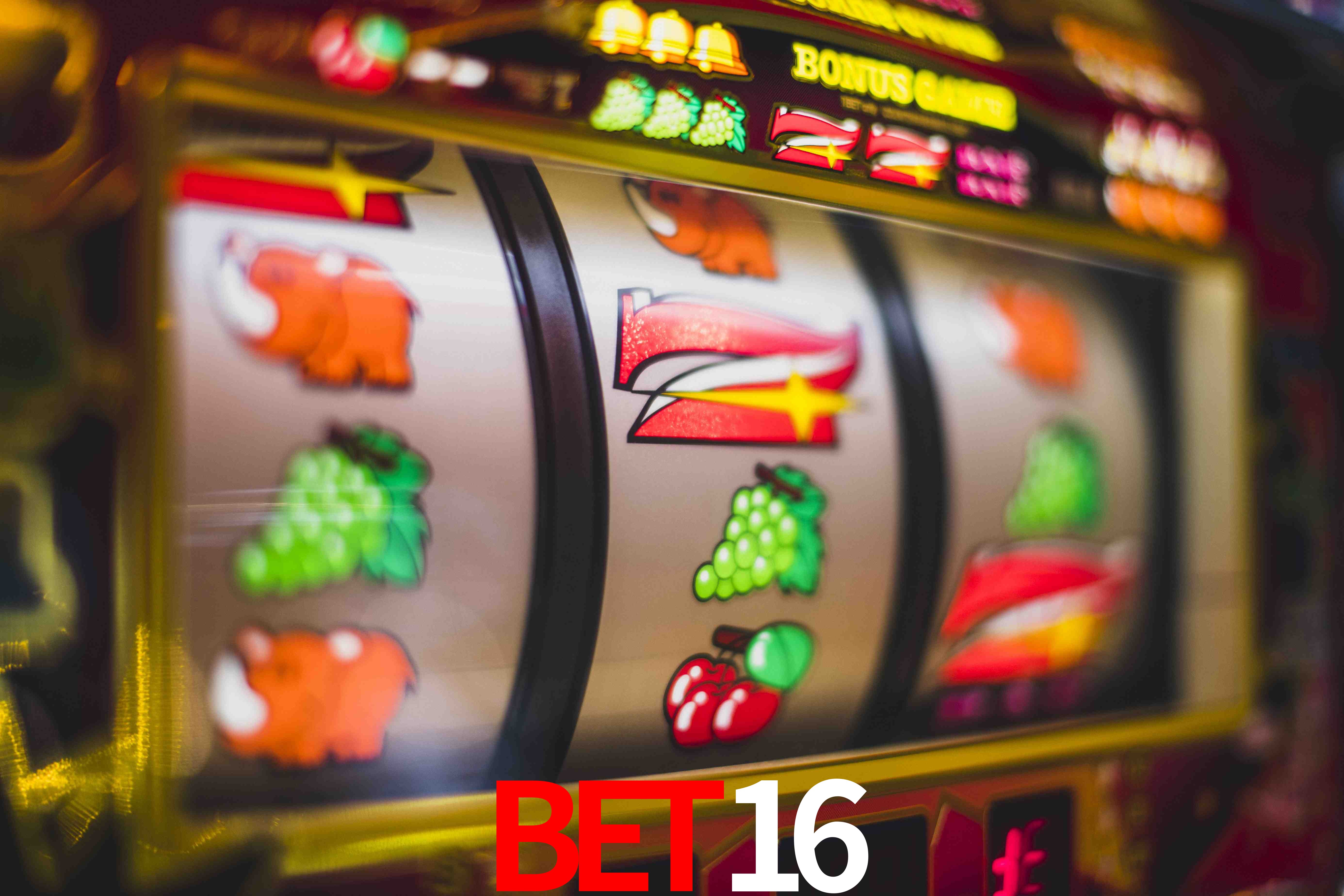 Sports Statistics bet16